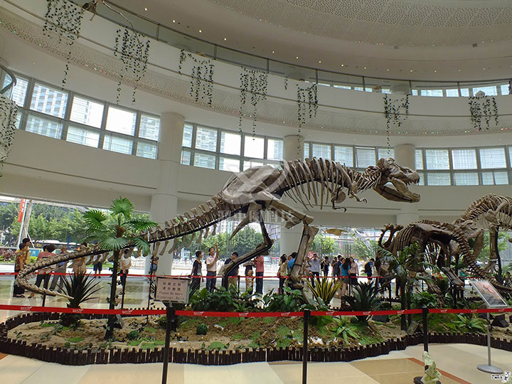 恐龙化石雕塑，恐龙化石模型，恐龙化石展示