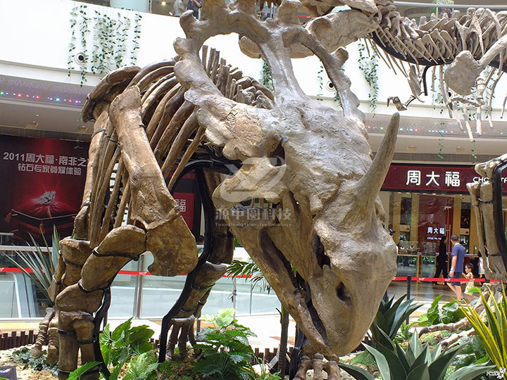 玻璃钢恐龙骨架雕塑
