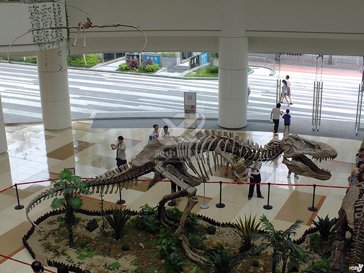 恐龙化石模型：博物馆的生动展品