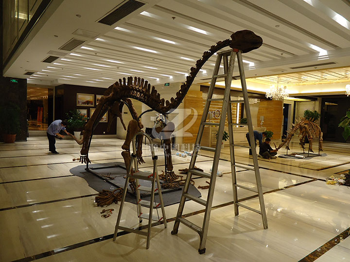 恐龙化石雕塑，恐龙化石模型，恐龙化石展示