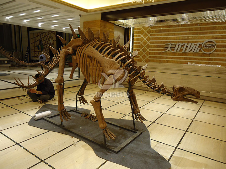 手工定制成的玻璃钢恐龙骨骼展品