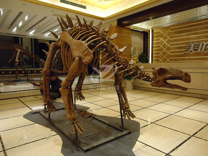 玻璃钢制作恐龙化石模型