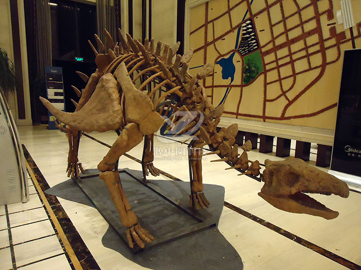 恐龙骨头雕塑，恐龙化石雕塑，恐龙骨架模型