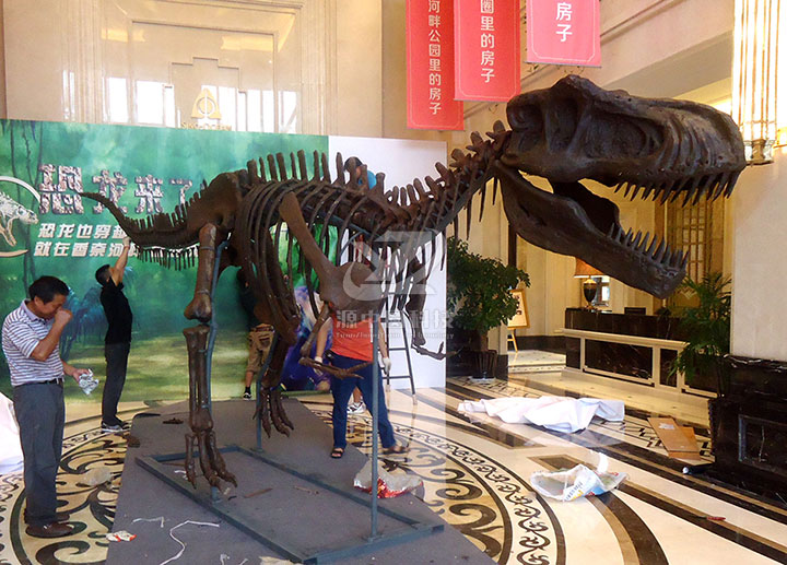 商业展览恐龙化石骨架模型可以定制吗？