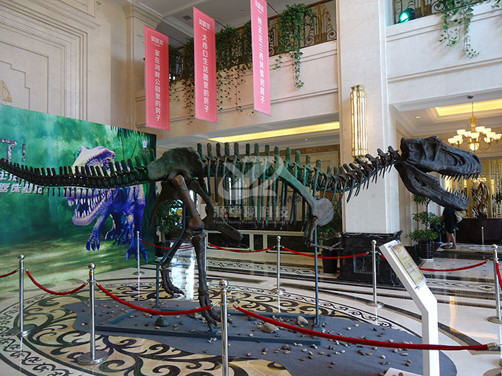玻璃钢材质恐龙化石展品
