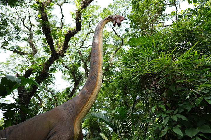 大型仿真恐龙打造的自然景观