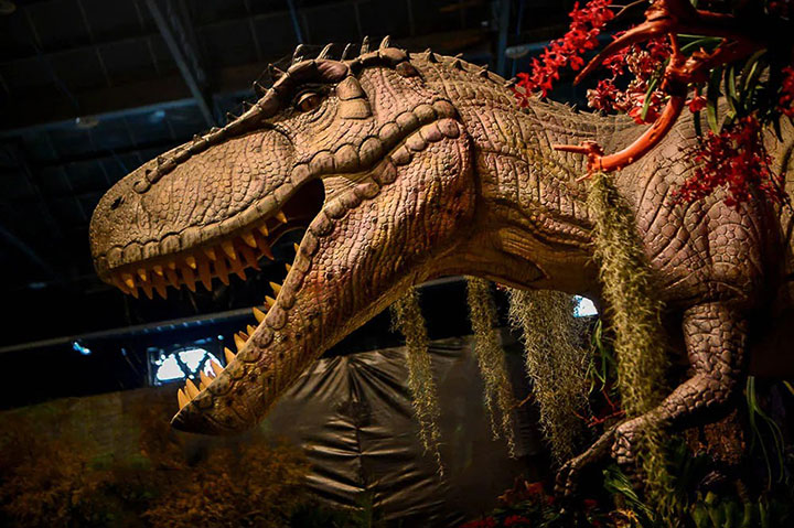 仿真恐龙工厂打造的恐龙雕塑