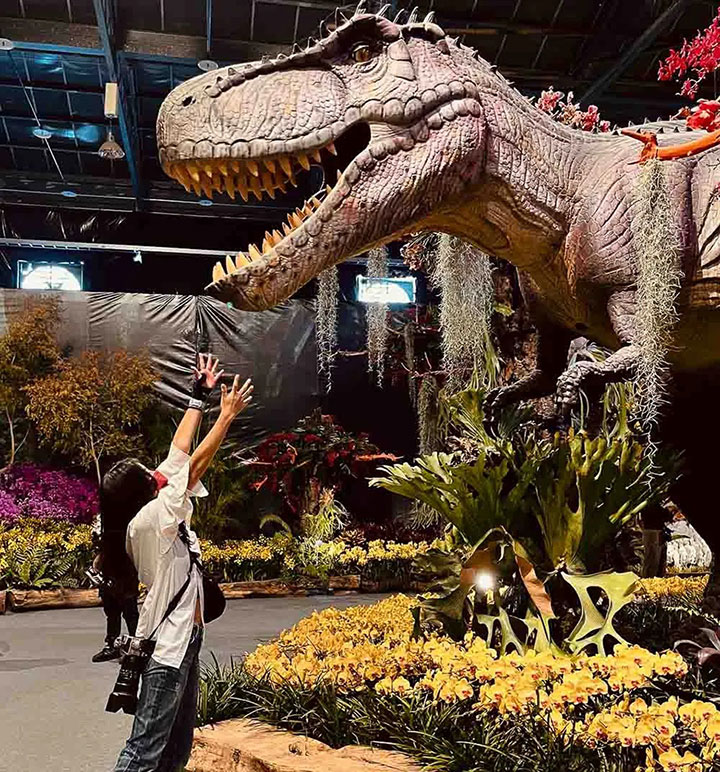 仿真恐龙在展馆和博物馆中的展示效果