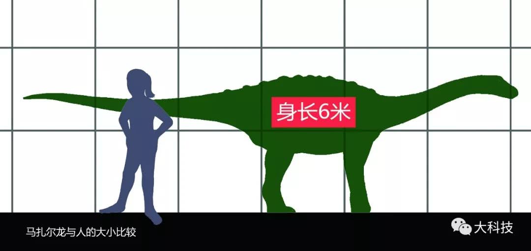 源中圆科技