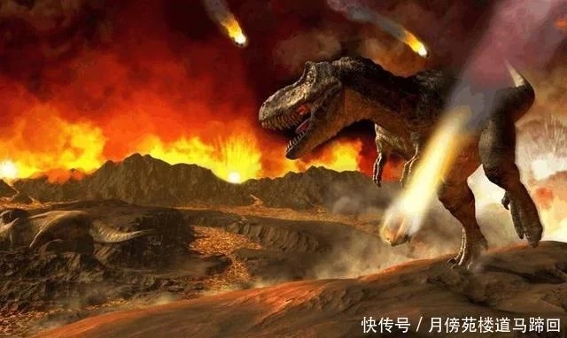 自贡恐龙网