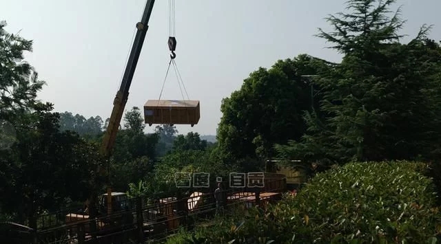 自贡恐龙网