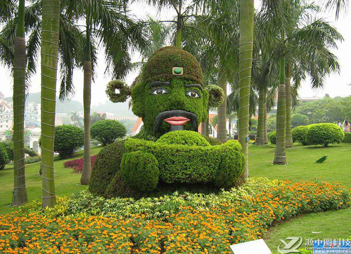 植物雕塑 街道植物雕塑 街心花园植物雕塑