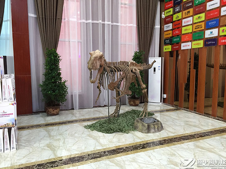 仿真恐龙化石  恐龙化石