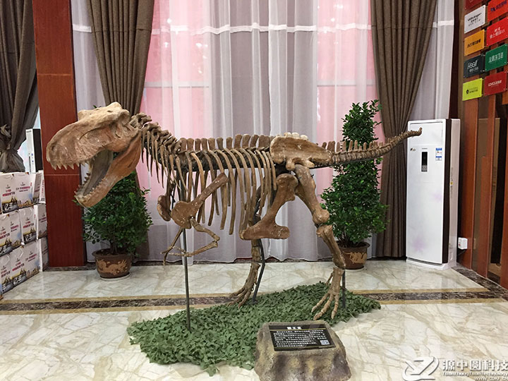 仿真恐龙化石  恐龙化石