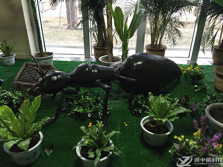 仿真昆虫模型 昆虫制作工厂 昆虫模型展出  仿真蚂蚁